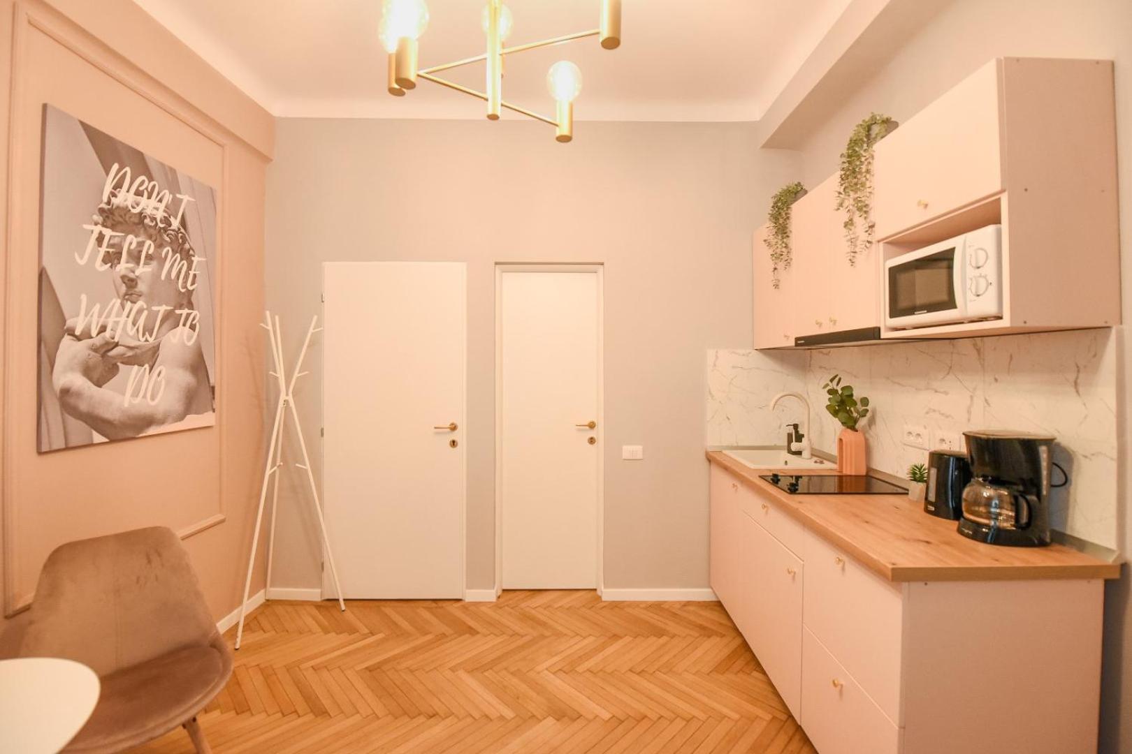 Modern Stay - Central Studios With Wall Projector Near Radisson ブカレスト 部屋 写真