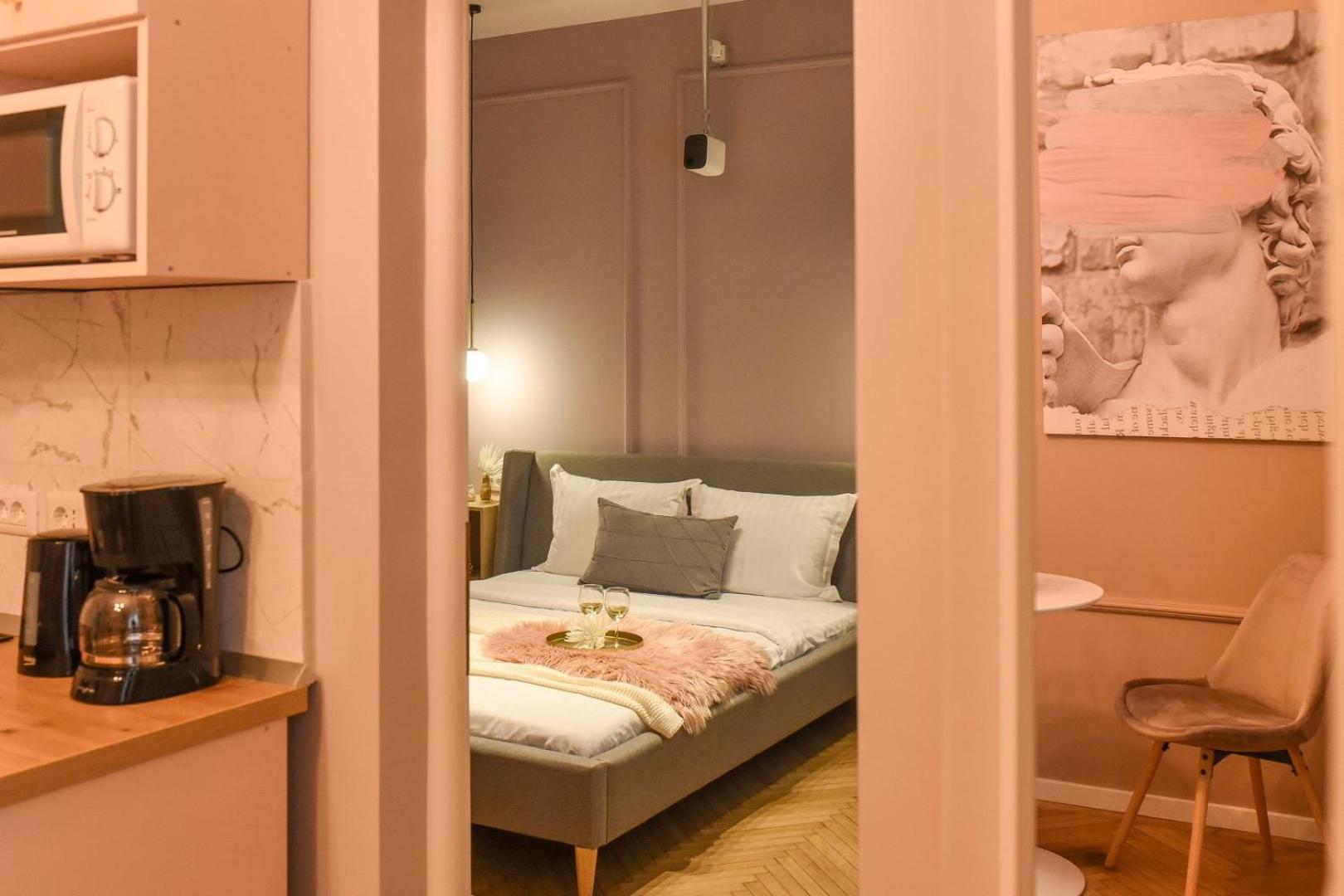 Modern Stay - Central Studios With Wall Projector Near Radisson ブカレスト 部屋 写真